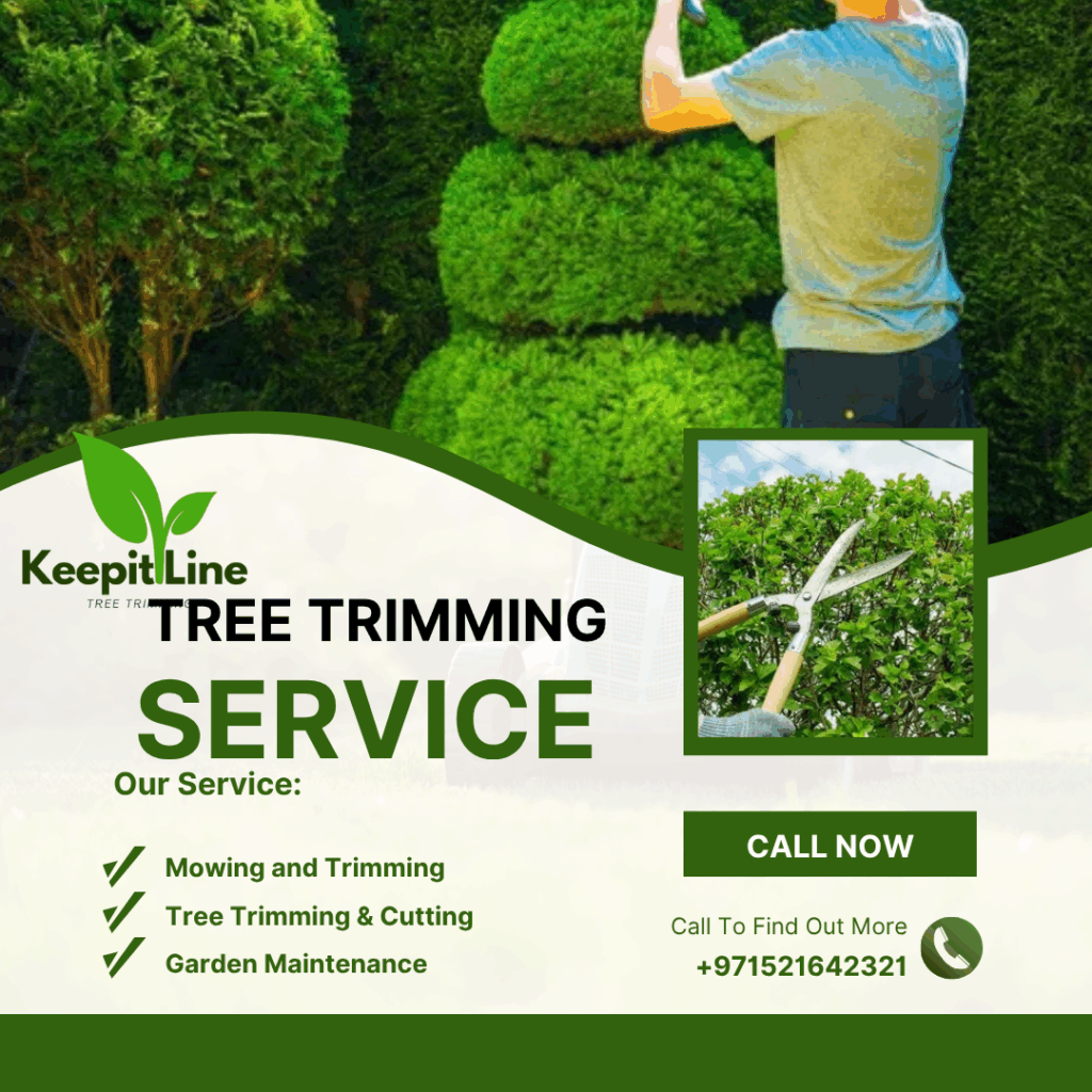 Tree Trimming Abu Dhabi