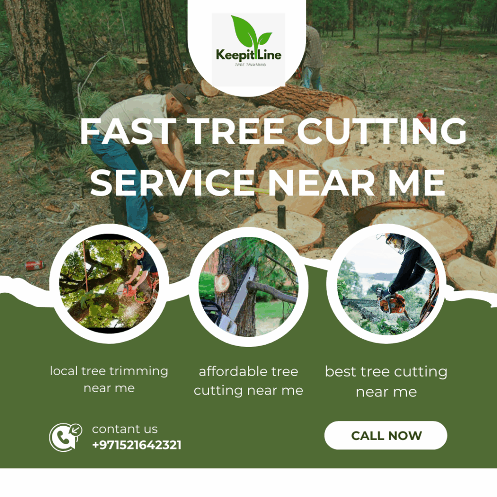 Damas Tree Removal Dubai