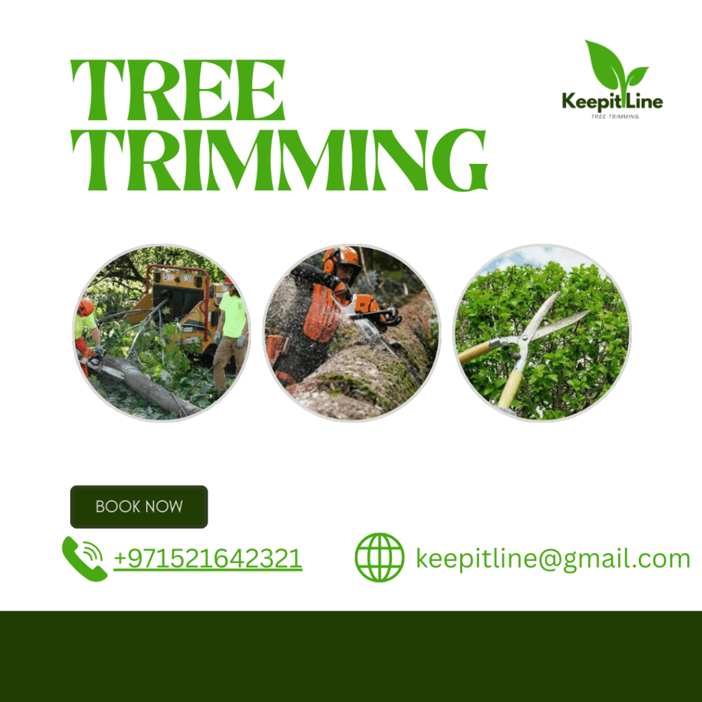 Tree Trimming Abu Dhabi