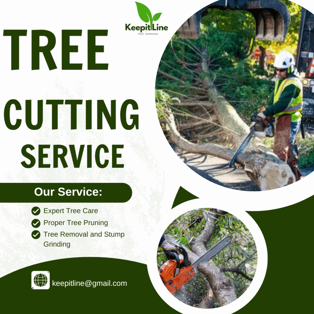 Licensed Tree Cutting