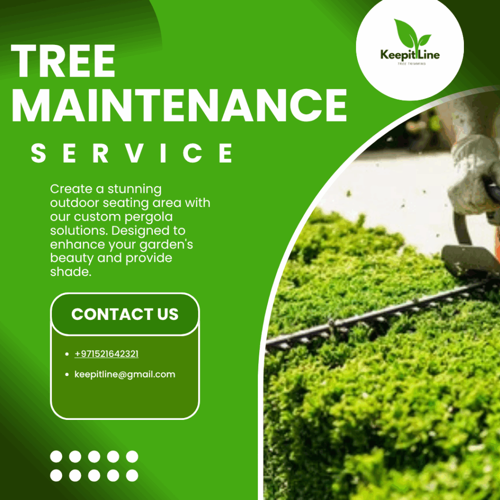 Tree Maintenance Dubai