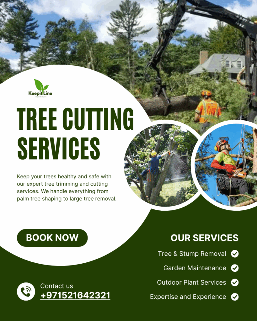 Licensed Tree Cutting Abu Dhabi