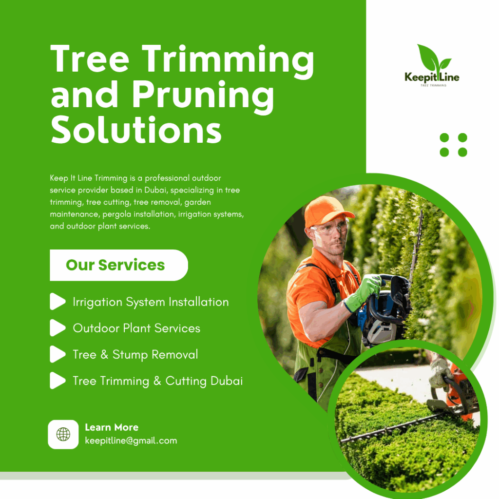Professional Tree Trimming Abu Dhabi Tree Care & Maintenance