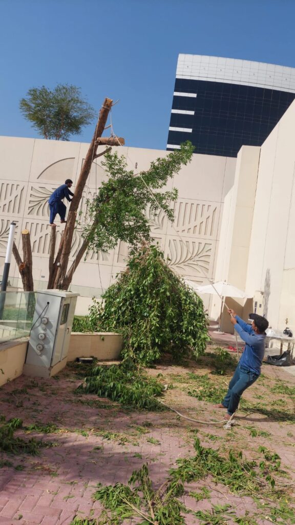 Garden Maintenance Company Abu Dhabi
