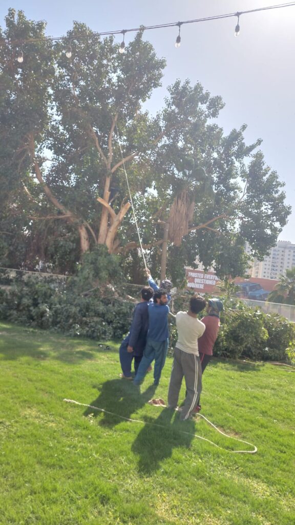 Garden Trimming Abu Dhabi