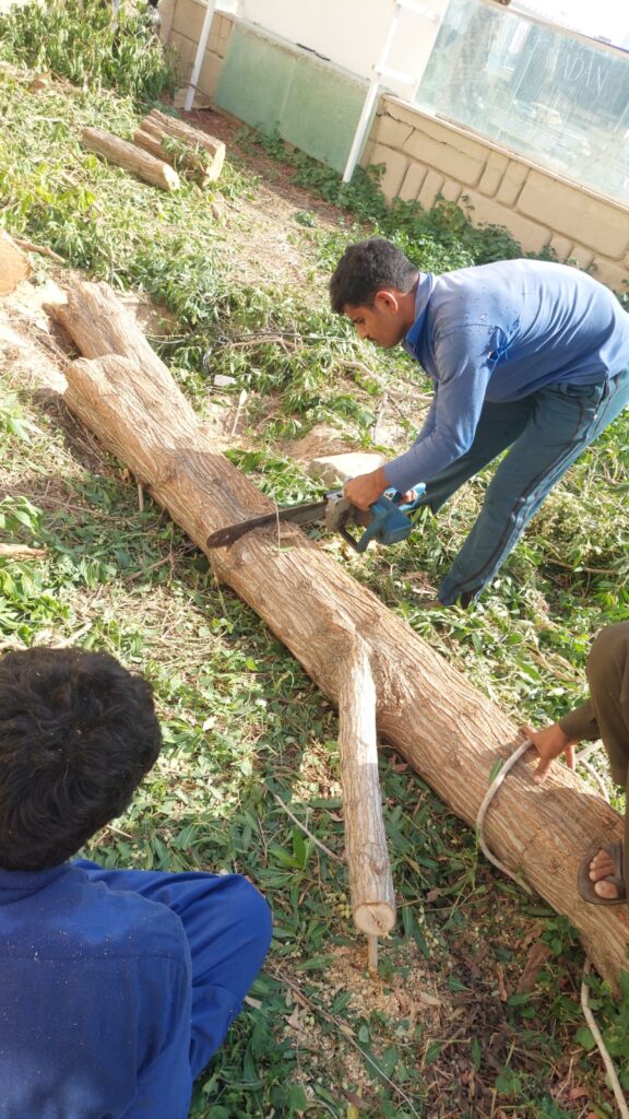 Tree Removal Services in Dubai